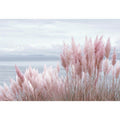 Pampas grass on beach