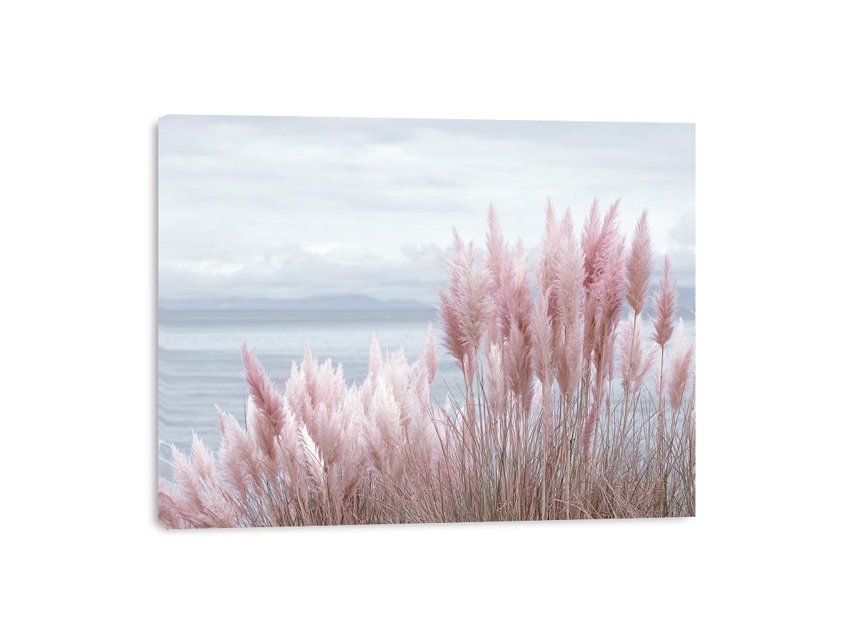 Blush coastal grass canvas art for soft beach bedroom decor.