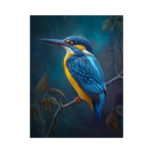 Kingfisher