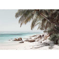 Whispers on White Sand