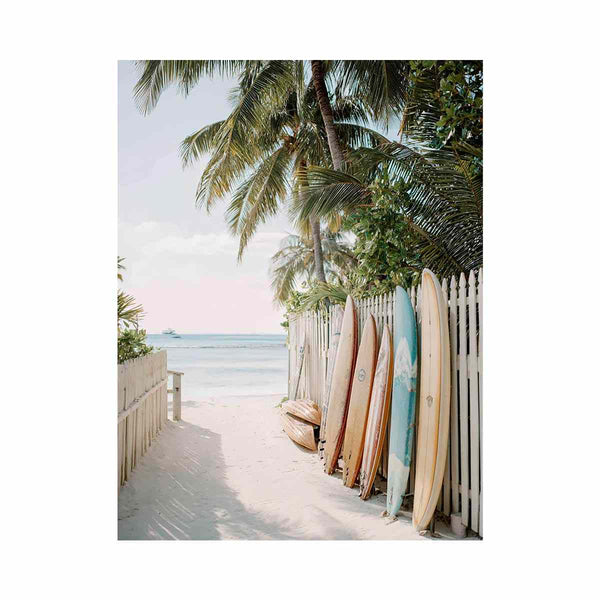 Row of surfboards