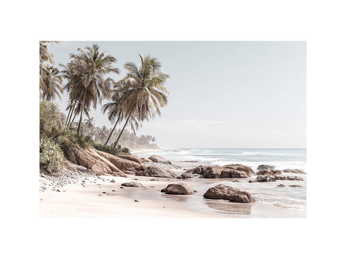 Coastal palm beach canvas photography with ocean and rocks for serene bedroom decor.