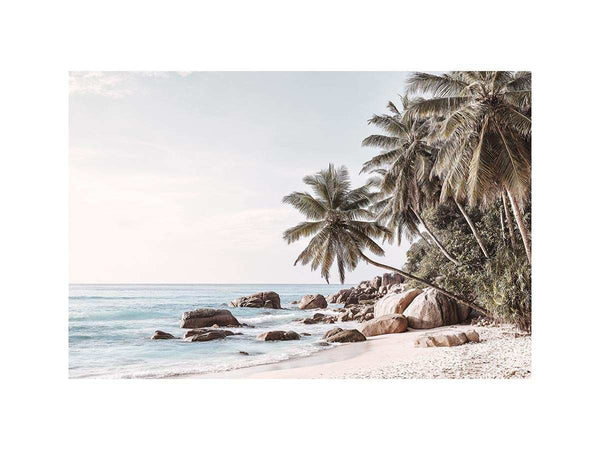 Between Sand and Sea
