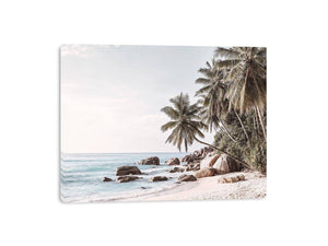 Tropical coastal palm tree canvas photography for light modern living room decor.