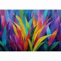 Vivid Colorfull