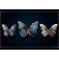 Echoes of a Butterfly