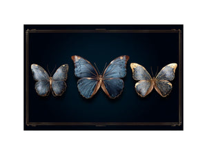 Echoes of a Butterfly