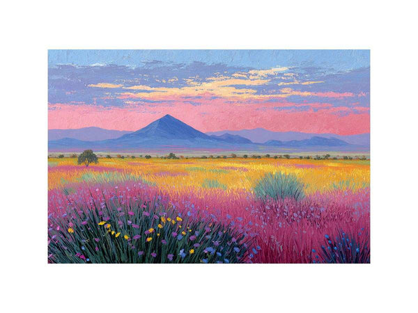 Echoes of the Outback
