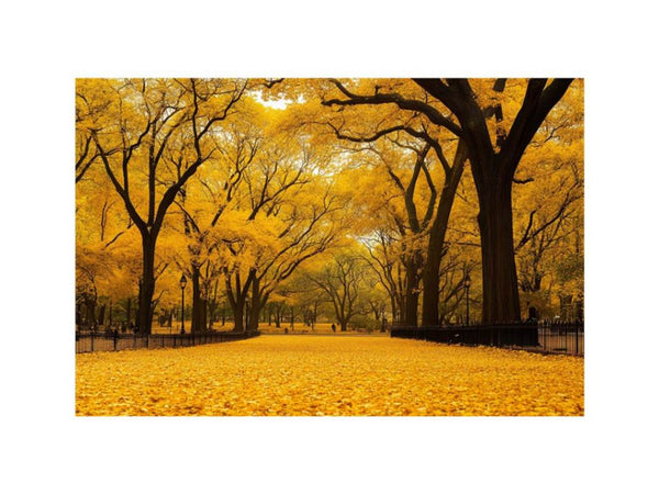 Golden Passage