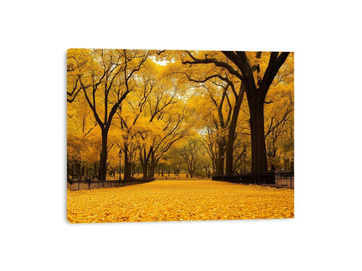 Streched canvas