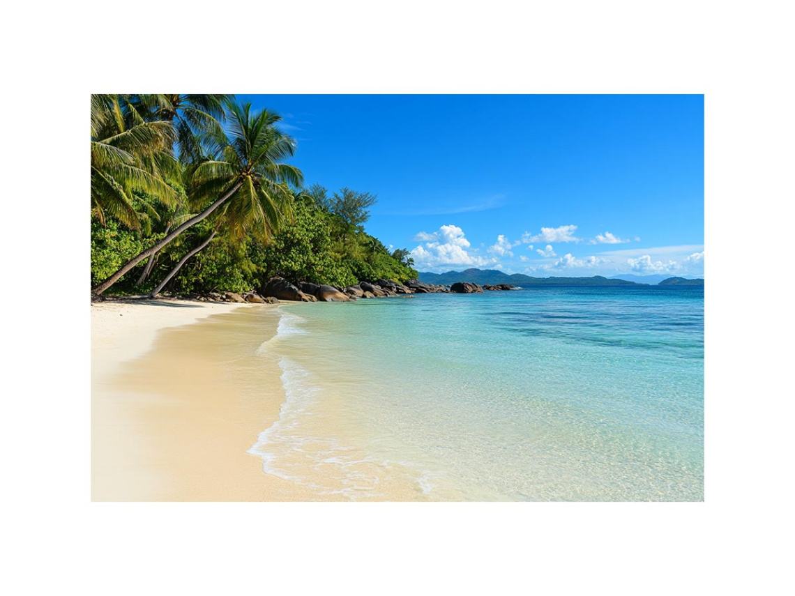 Tropical beach with palm trees and turquoise water canvas art for coastal decor