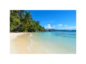Tropical beach with palm trees and turquoise water canvas art for coastal decor