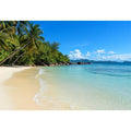 Tropical Beach