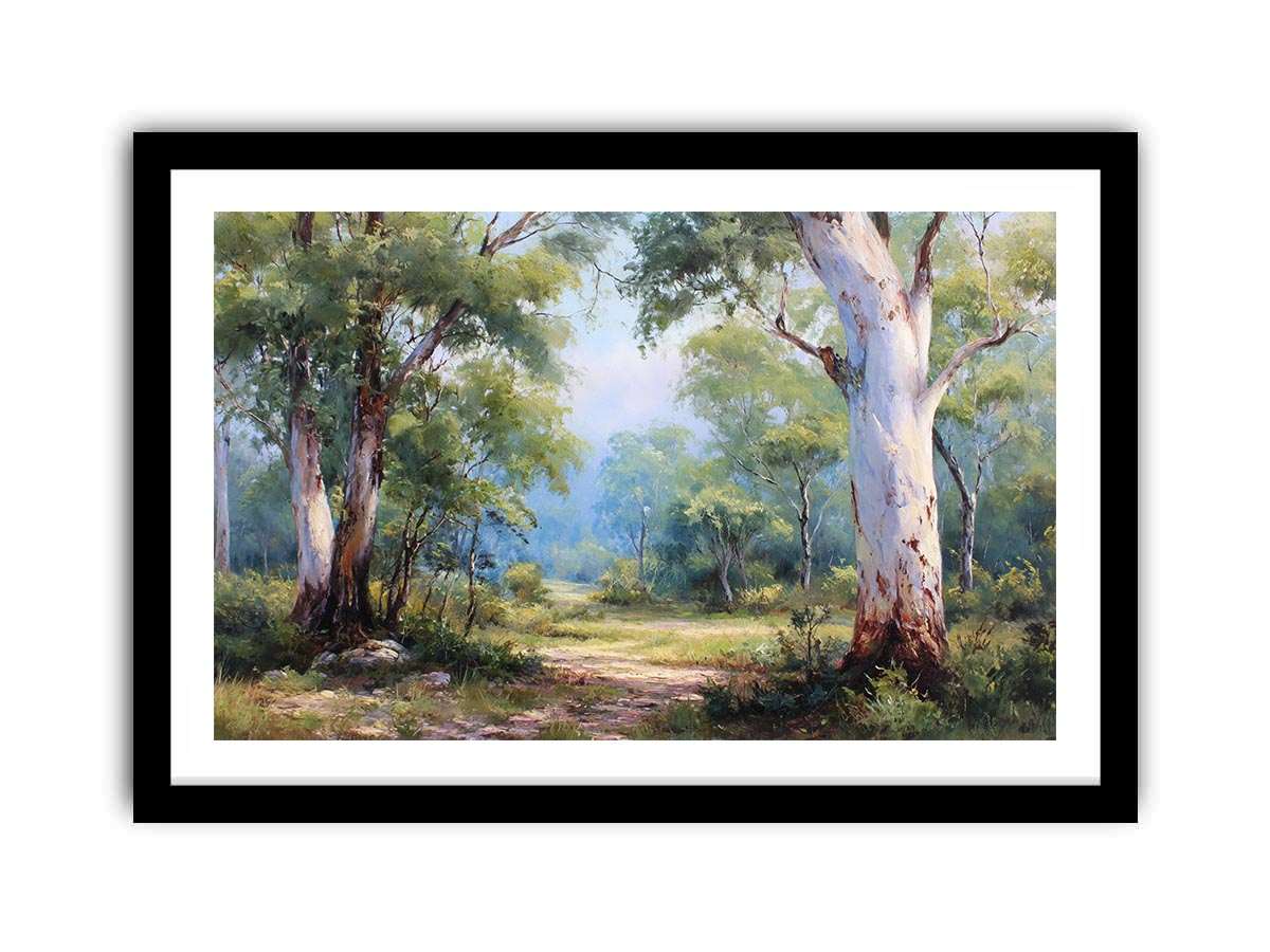 Australian eucalyptus forest canvas art with soft woodland path for calm living room decor.