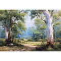 Australian eucalyptus forest canvas art with soft woodland path for calm living room decor.
