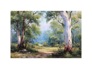 Australian eucalyptus forest canvas art with soft woodland path for calm living room decor.