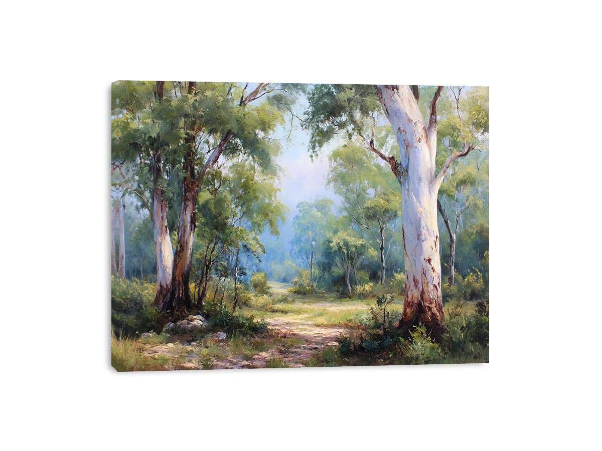 Australian eucalyptus forest canvas art with soft woodland path for calm living room decor.