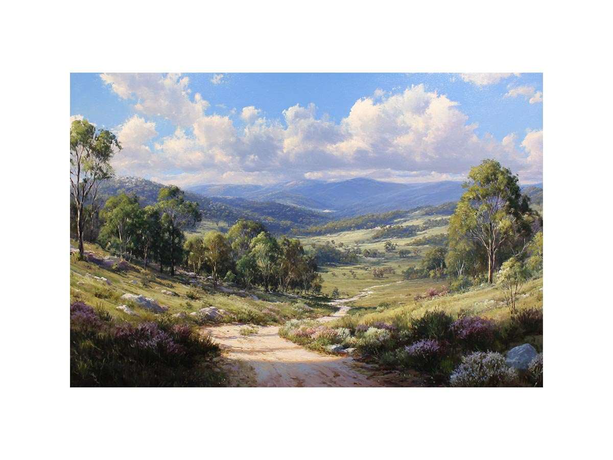 Australian mountain valley canvas art with trees, wildflowers and sunlit track for living room decor.