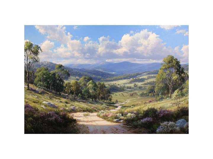 Outback Dreams