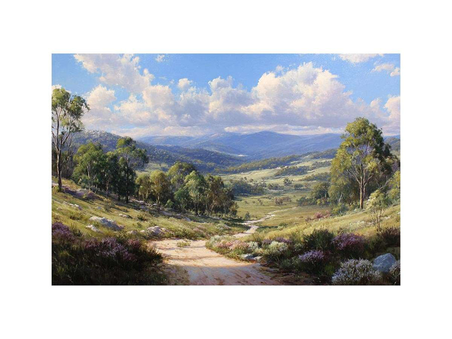 Outback Dreams