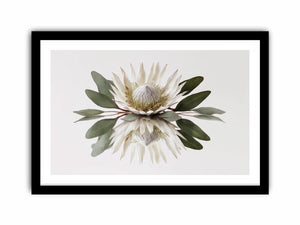 White protea botanical canvas art for serene bedroom or living room decor.