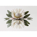 King Protea