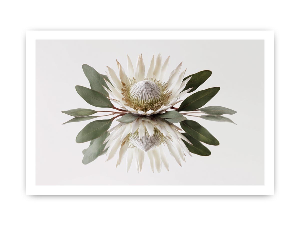 White protea botanical canvas art for serene bedroom or living room decor.