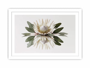 White protea botanical canvas art for serene bedroom or living room decor.