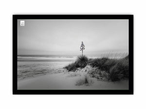 Black and white coastal dune photography canvas for calm modern decor.
