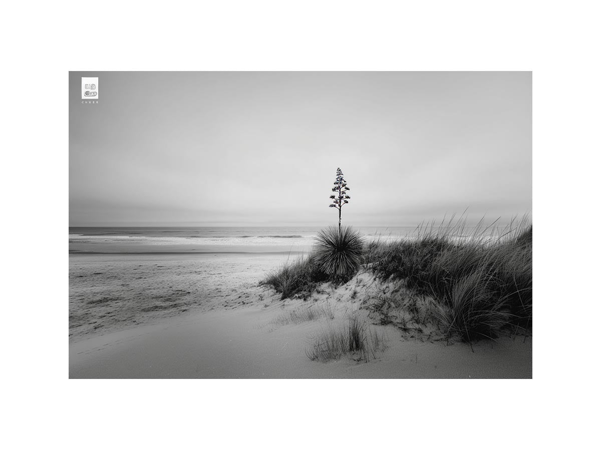 Black and white coastal dune photography canvas for calm modern decor.