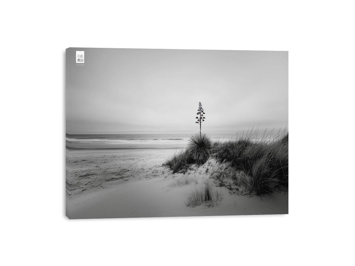 Streched canvas