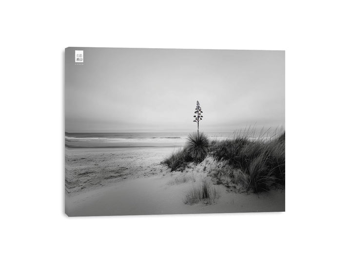 Streched canvas