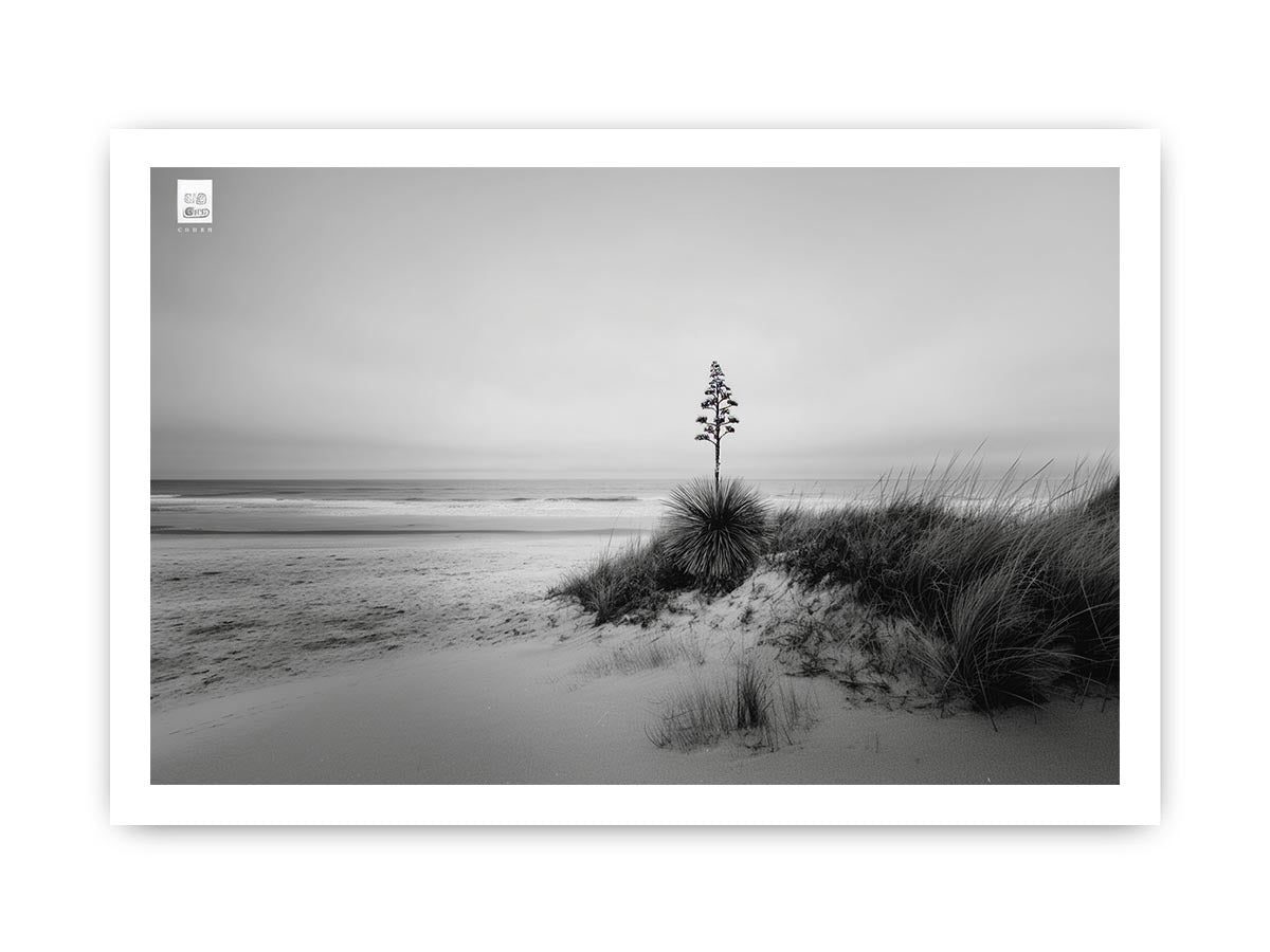 Black and white coastal dune photography canvas for calm modern decor.