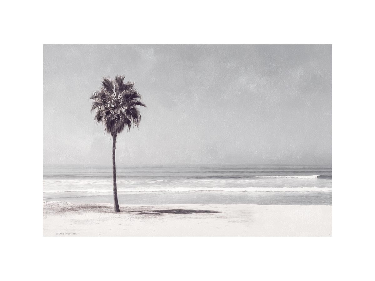 Monochrome palm beach canvas print for coastal bedroom wall decor.
