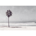 Palm on beach