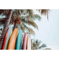 Surfboards 11
