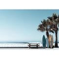 Surfboards and palm trees beside the ocean in coastal modern beach house decor