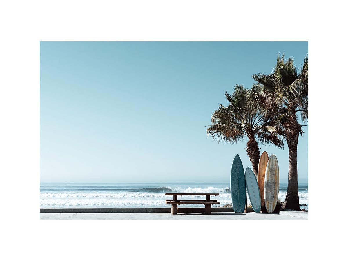 Surfboards and palm trees beside the ocean in coastal modern beach house decor