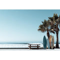 Surf & Palm Harmony