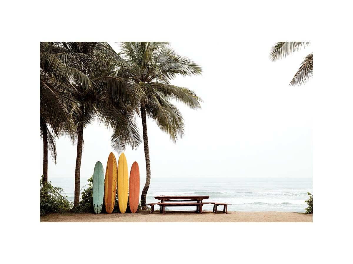 Colorful surfboards and palm trees overlooking the ocean for coastal wall decor
