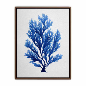 Blue coral botanical artwork for coastal bathroom and living room decor
