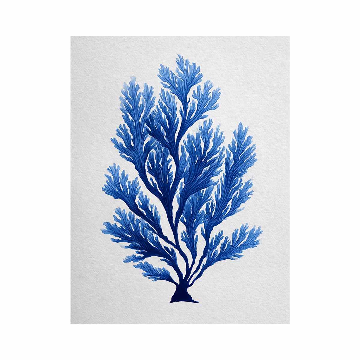 Blue coral botanical artwork for coastal bathroom and living room decor
