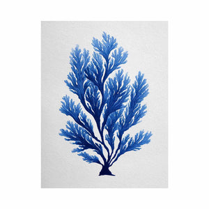 Blue coral botanical artwork for coastal bathroom and living room decor