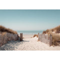 Dunes and Driftwood Dreams