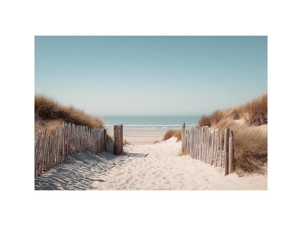 Dunes and Driftwood Dreams