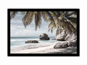 Palm-lined tropical beach with coastal rocks for luxury seaside decor