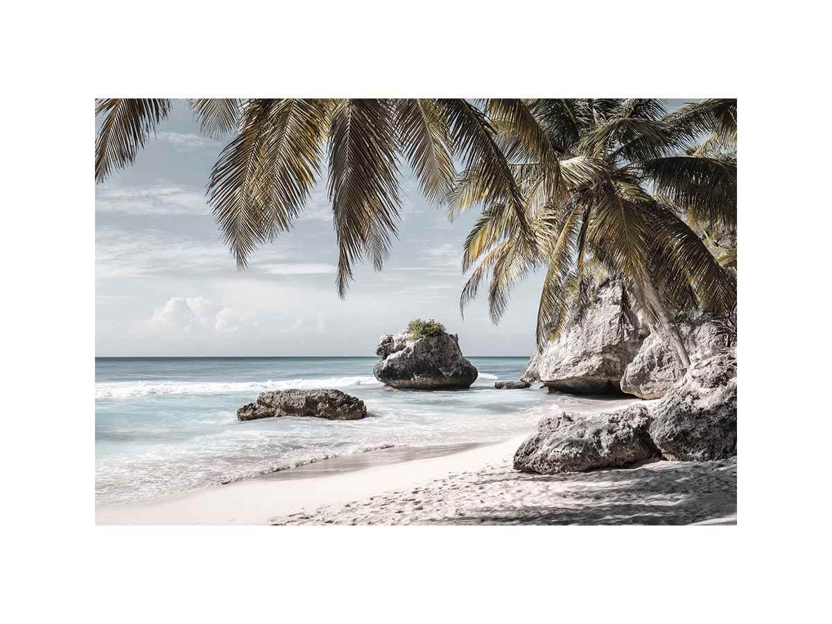 Palm-lined tropical beach with coastal rocks for luxury seaside decor