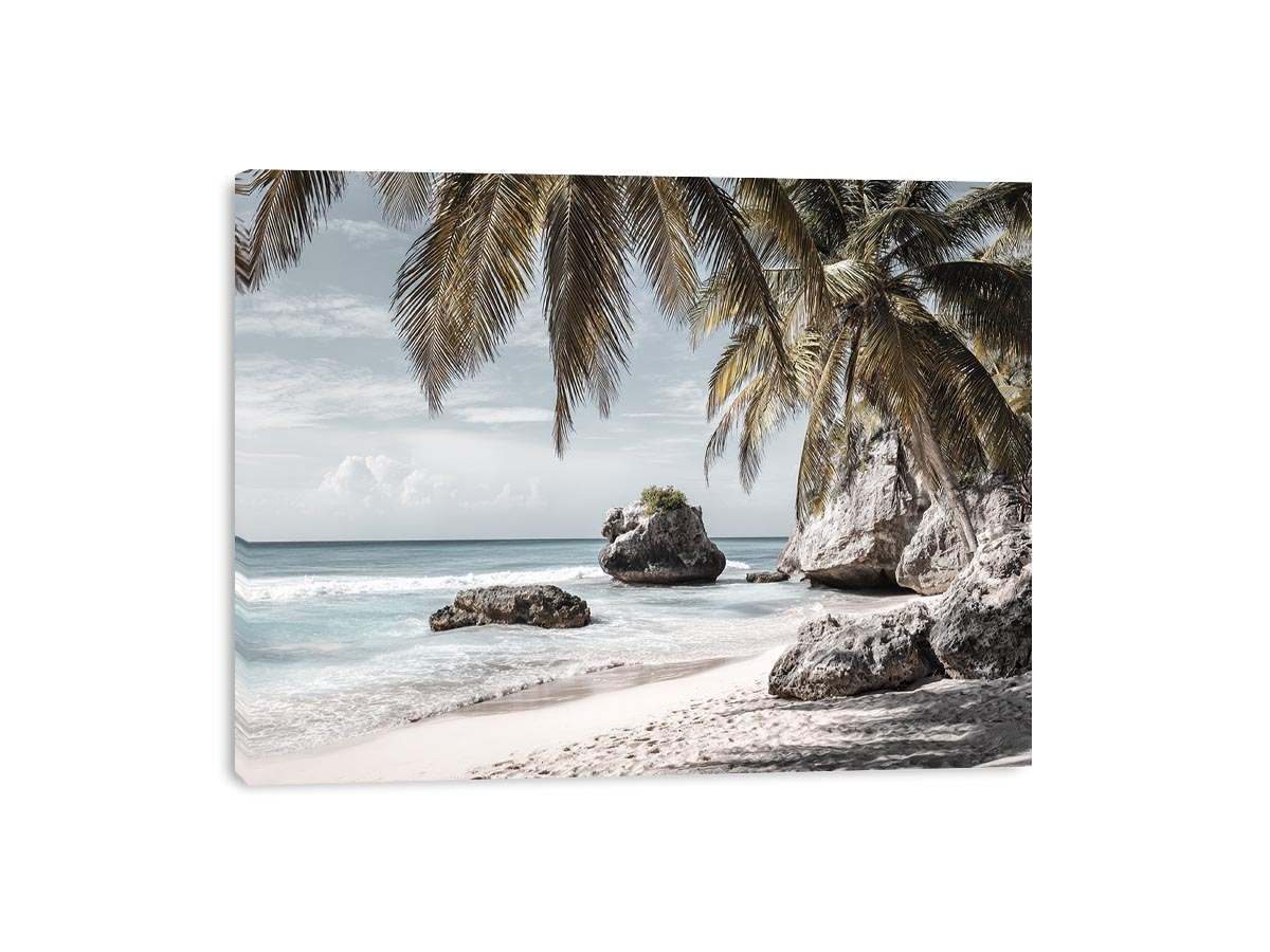 Palm-lined tropical beach with coastal rocks for luxury seaside decor