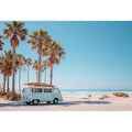 Surf & Ride by the Palms