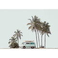Palm Shadows & Surfboards